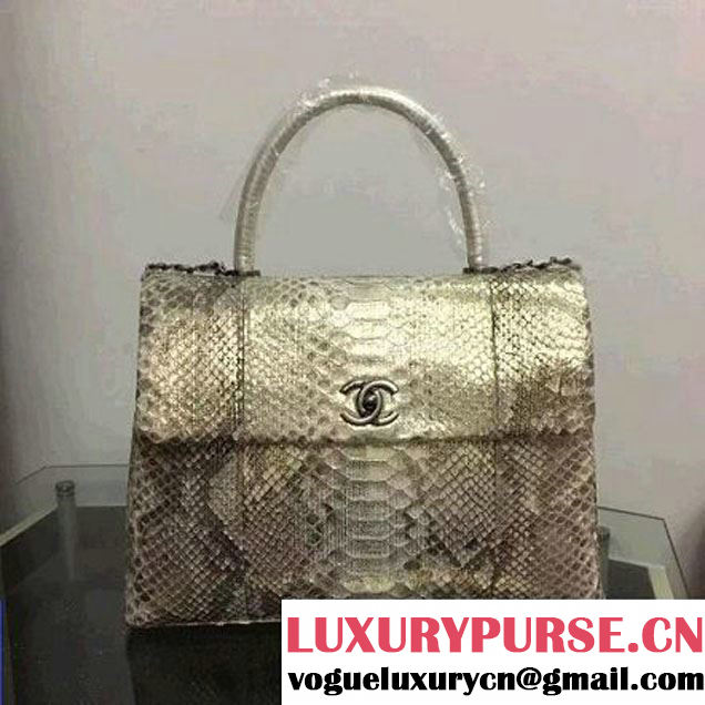 Chanel A93279 Python and Lambskin Flap Bag With Handle Silver/Gold Pre-SS 2016 (XY-6041240 )