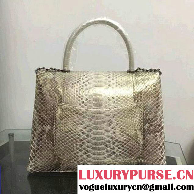 Chanel A93279 Python and Lambskin Flap Bag With Handle Silver/Gold Pre-SS 2016 (XY-6041240 )