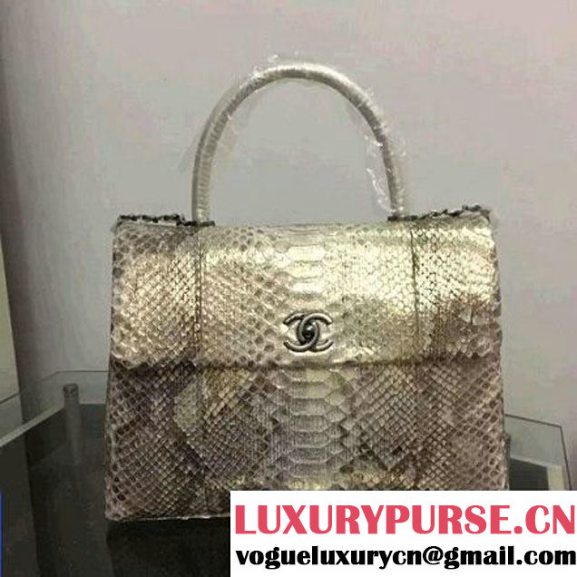 Chanel A93279 Python and Lambskin Flap Bag With Handle Silver/Gold Pre-SS 2016 (XY-6041240 )