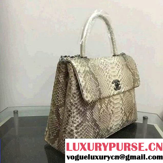Chanel A93279 Python and Lambskin Flap Bag With Handle Silver/Gold Pre-SS 2016 (XY-6041240 )