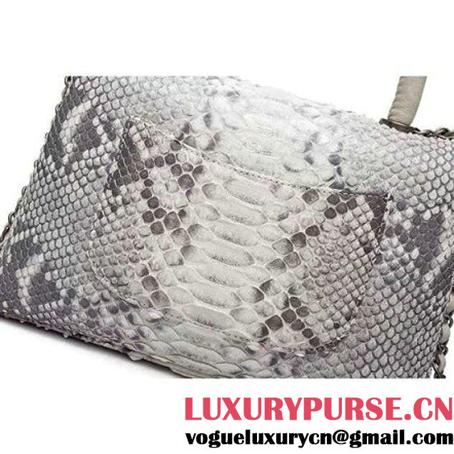 Chanel A93050 Small Python and Lambskin Flap Bag With Handle Grey/White Pre-SS 2016  (XY-6041242 )