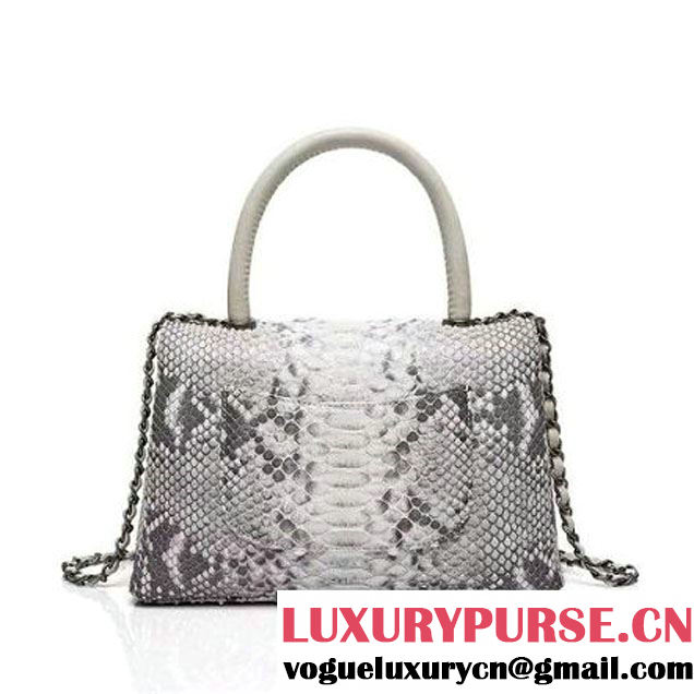 Chanel A93050 Small Python and Lambskin Flap Bag With Handle Grey/White Pre-SS 2016  (XY-6041242 )