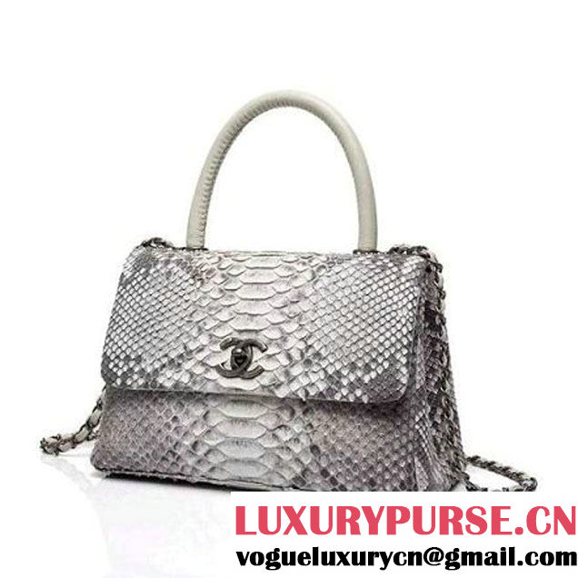 Chanel A93050 Small Python and Lambskin Flap Bag With Handle Grey/White Pre-SS 2016  (XY-6041242 )