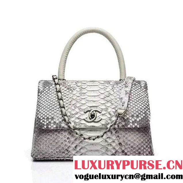 Chanel A93050 Small Python and Lambskin Flap Bag With Handle Grey/White Pre-SS 2016  (XY-6041242 )