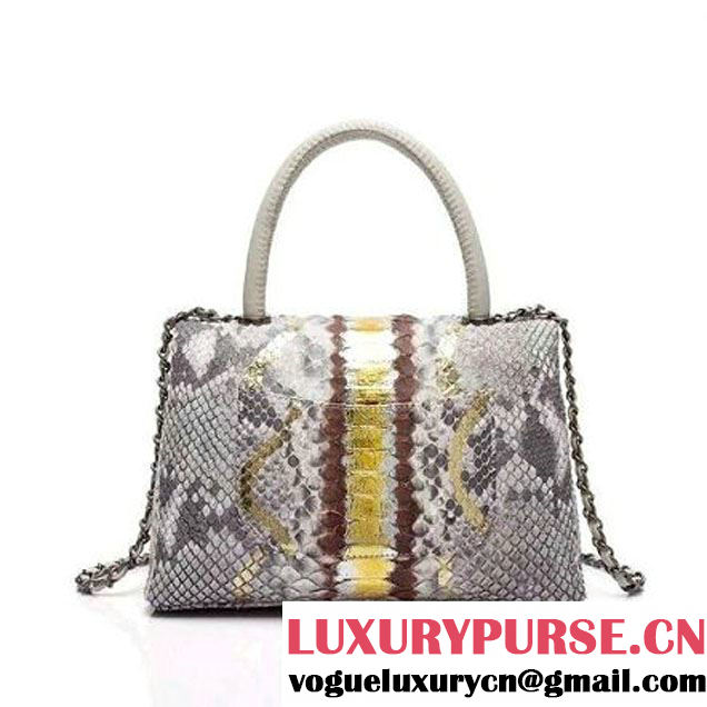Chanel A93050 Small Python and Lambskin Flap Bag With Handle Grey/Gold Pre-SS 2016  (XY-6041241 )