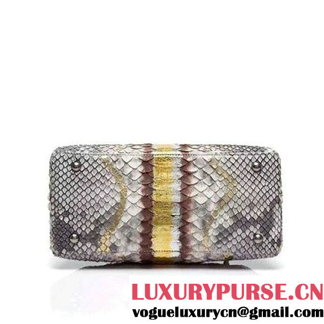 Chanel A93050 Small Python and Lambskin Flap Bag With Handle Grey/Gold Pre-SS 2016  (XY-6041241 )
