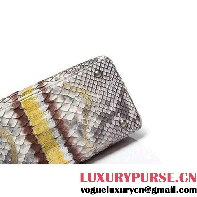 Chanel A93050 Small Python and Lambskin Flap Bag With Handle Grey/Gold Pre-SS 2016  (XY-6041241 )