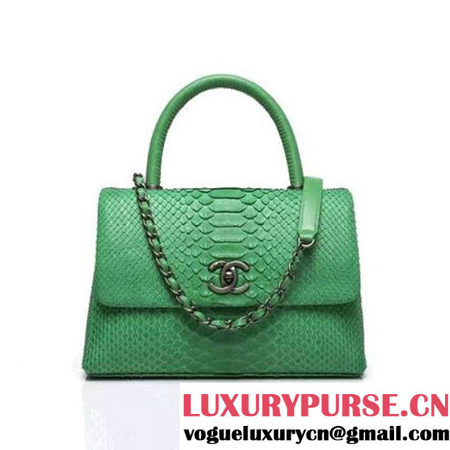 Chanel A93050 Small Python and Lambskin Flap Bag With Handle Green Pre-SS 2016 (XY-6041243 )