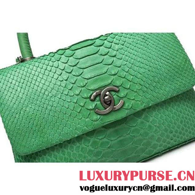 Chanel A93050 Small Python and Lambskin Flap Bag With Handle Green Pre-SS 2016  (XY-6041243 )