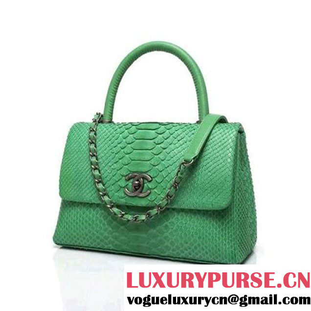 Chanel A93050 Small Python and Lambskin Flap Bag With Handle Green Pre-SS 2016  (XY-6041243 )
