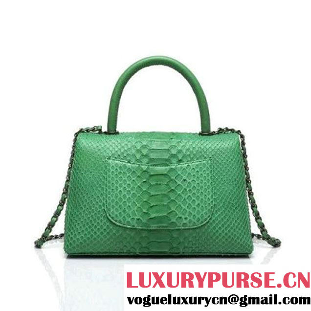 Chanel A93050 Small Python and Lambskin Flap Bag With Handle Green Pre-SS 2016  (XY-6041243 )