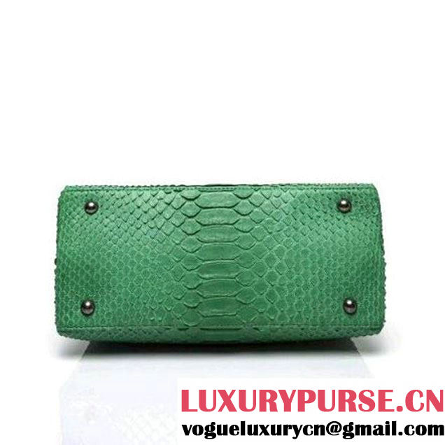 Chanel A93050 Small Python and Lambskin Flap Bag With Handle Green Pre-SS 2016  (XY-6041243 )