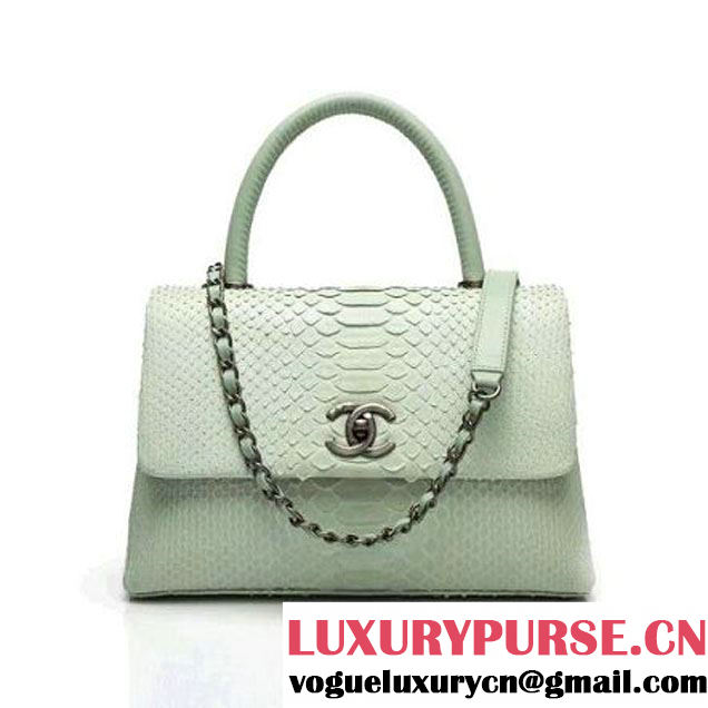 Chanel A93050 Small Python and Lambskin Flap Bag With Handle Light Green Pre-SS 2016 (XY-6041245 )