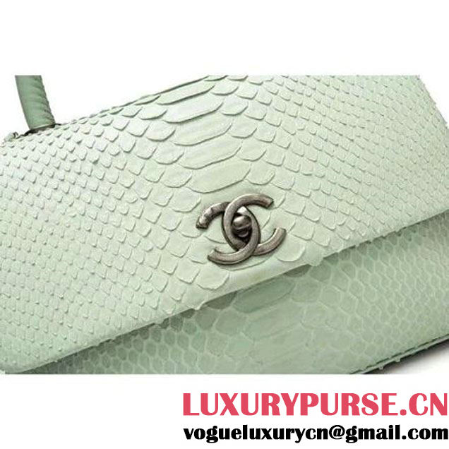 Chanel A93050 Small Python and Lambskin Flap Bag With Handle Light Green Pre-SS 2016  (XY-6041245 )