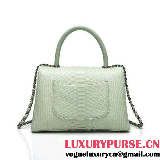 Chanel A93050 Small Python and Lambskin Flap Bag With Handle Light Green Pre-SS 2016  (XY-6041245 )