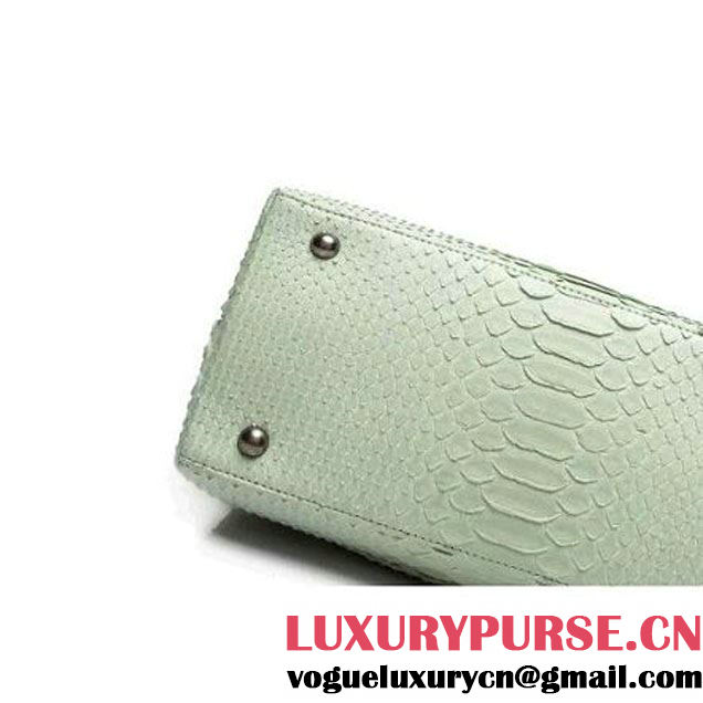 Chanel A93050 Small Python and Lambskin Flap Bag With Handle Light Green Pre-SS 2016  (XY-6041245 )