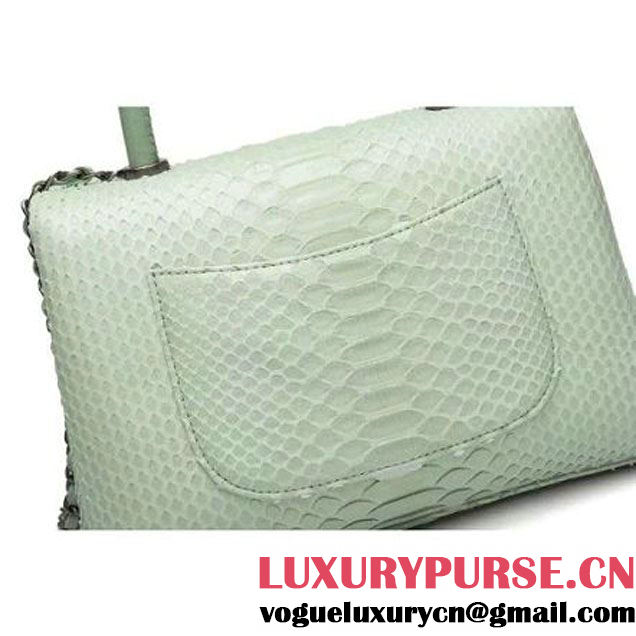 Chanel A93050 Small Python and Lambskin Flap Bag With Handle Light Green Pre-SS 2016  (XY-6041245 )