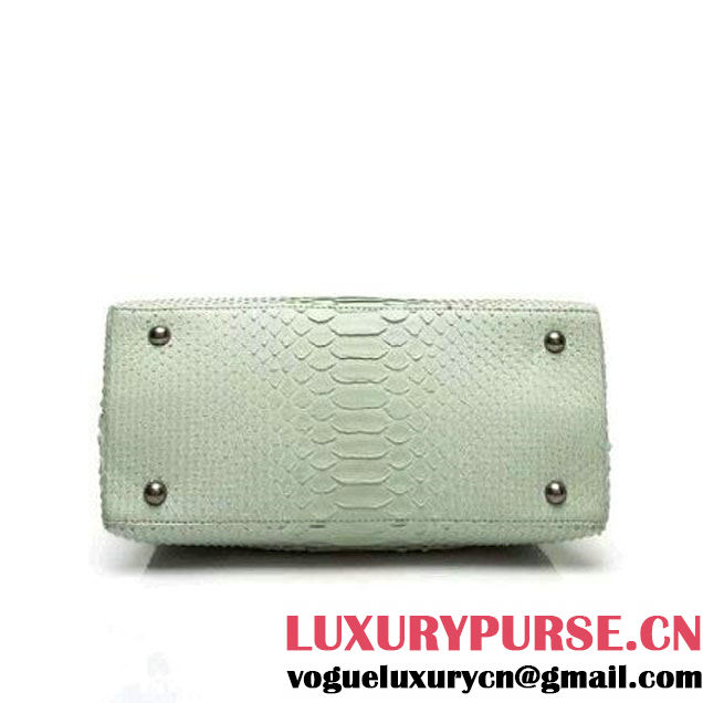 Chanel A93050 Small Python and Lambskin Flap Bag With Handle Light Green Pre-SS 2016  (XY-6041245 )