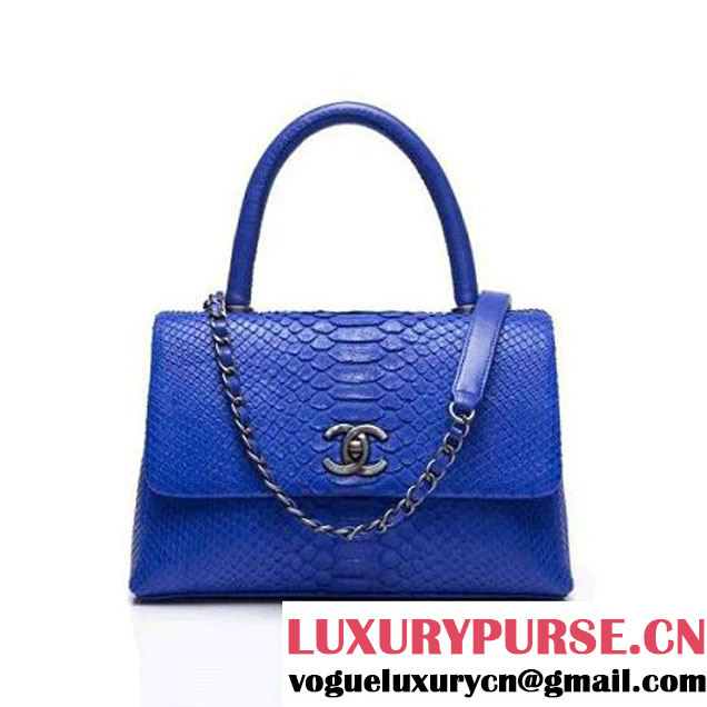 Chanel A93050 Small Python and Lambskin Flap Bag With Handle Royal blue Pre-SS 2016 (XY-6041246 )