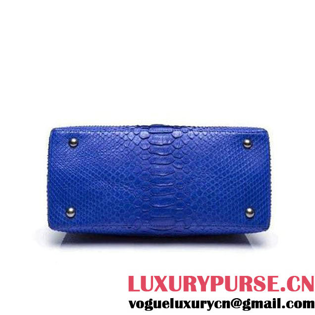 Chanel A93050 Small Python and Lambskin Flap Bag With Handle Royal blue Pre-SS 2016  (XY-6041246 )