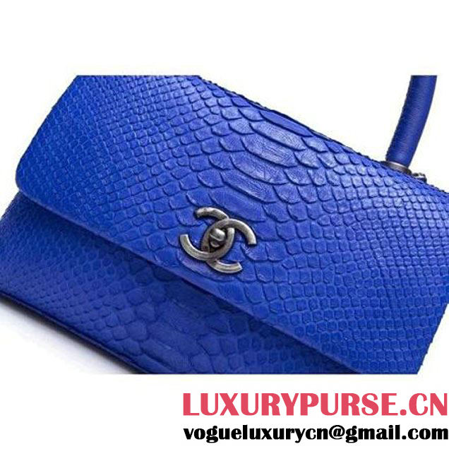 Chanel A93050 Small Python and Lambskin Flap Bag With Handle Royal blue Pre-SS 2016  (XY-6041246 )