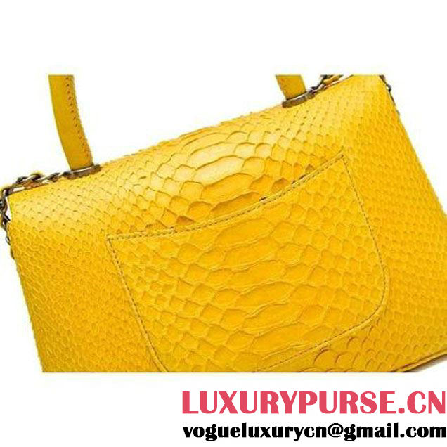 Chanel A93050 Small Python and Lambskin Flap Bag With Handle Ginger Pre-SS 2016  (XY-6041247 )