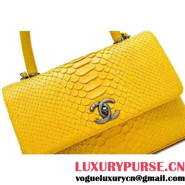 Chanel A93050 Small Python and Lambskin Flap Bag With Handle Ginger Pre-SS 2016  (XY-6041247 )