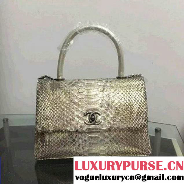 Chanel A93050 Small Python and Lambskin Flap Bag With Handle Silver/Gold Pre-SS 2016  (XY-6041250 )