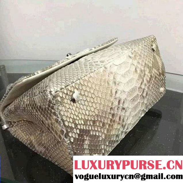 Chanel A93050 Small Python and Lambskin Flap Bag With Handle Silver/Gold Pre-SS 2016  (XY-6041250 )