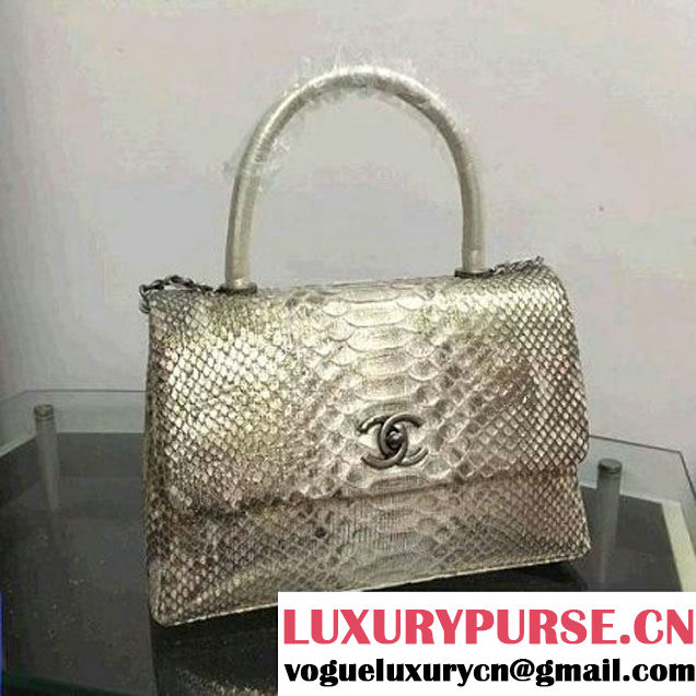 Chanel A93050 Small Python and Lambskin Flap Bag With Handle Silver/Gold Pre-SS 2016  (XY-6041250 )