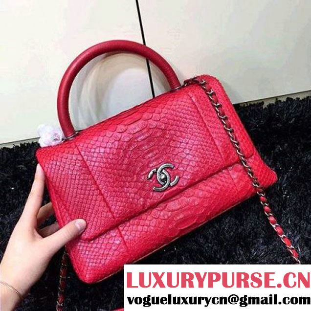 Chanel Python and Lambskin Flap Bag With Handle Rosy Pre-SS 2016  (2a143-6041255 )