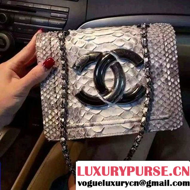 Chanel Small Python, Calfskin & Ruthenium Metal Bronze Flap Bag Gray F/W 2016 (YUN-6090918 )