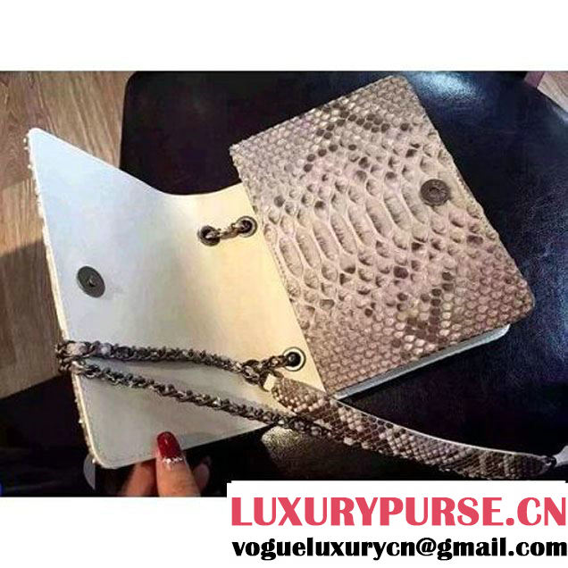 Chanel Small Python, Calfskin & Ruthenium Metal Bronze Flap Bag Gray F/W 2016 (YUN-6090918 )