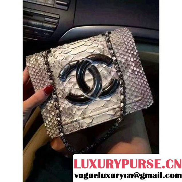 Chanel Small Python, Calfskin & Ruthenium Metal Bronze Flap Bag Gray F/W 2016 (YUN-6090918 )