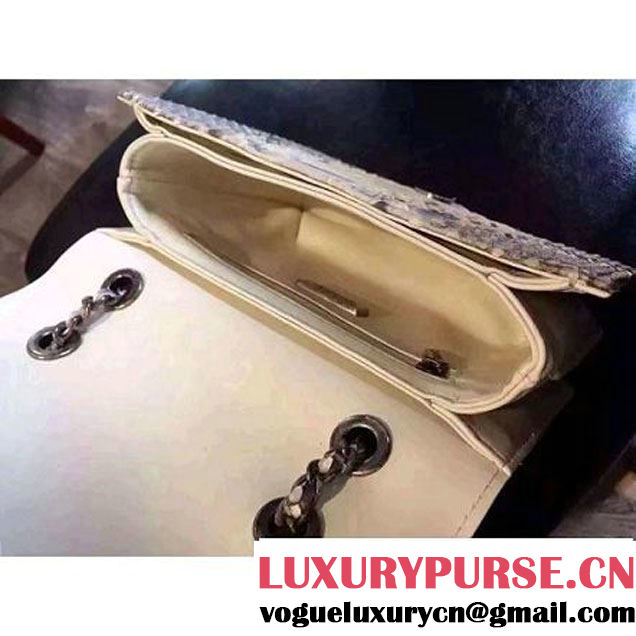Chanel Small Python, Calfskin & Ruthenium Metal Bronze Flap Bag Gray F/W 2016 (YUN-6090918 )