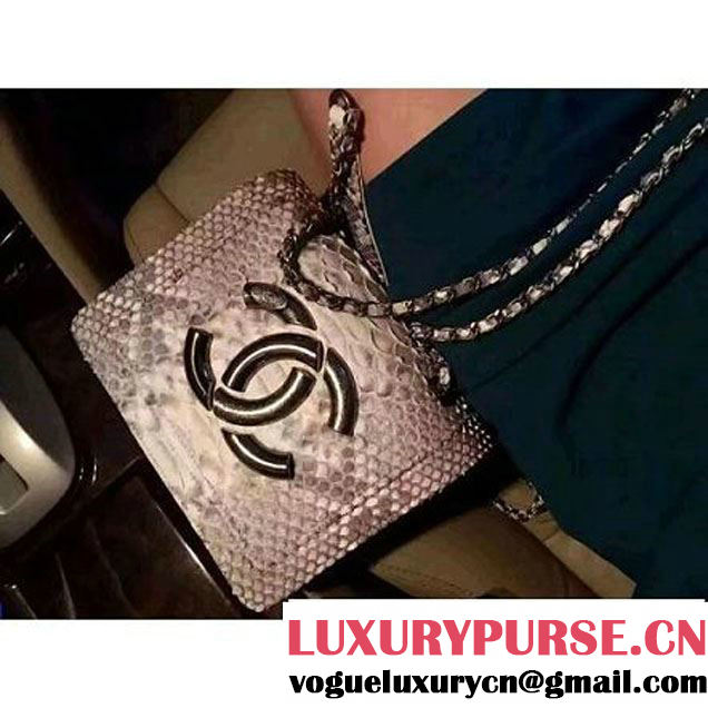 Chanel Small Python, Calfskin & Ruthenium Metal Bronze Flap Bag Gray F/W 2016 (YUN-6090918 )