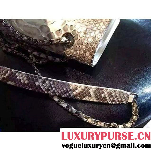 Chanel Small Python, Calfskin & Ruthenium Metal Bronze Flap Bag Gray F/W 2016 (YUN-6090918 )