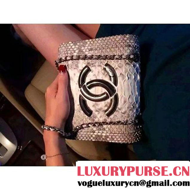 Chanel Small Python, Calfskin & Ruthenium Metal Bronze Flap Bag Gray F/W 2016 (YUN-6090918 )