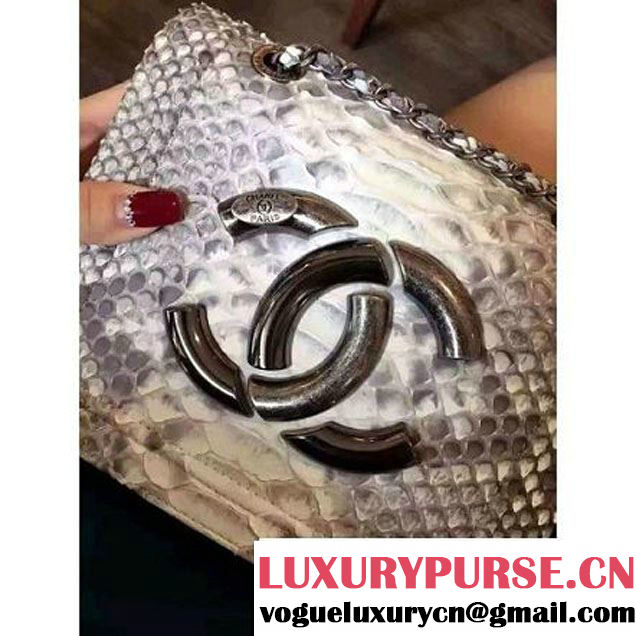 Chanel Small Python, Calfskin & Ruthenium Metal Bronze Flap Bag Gray F/W 2016 (YUN-6090918 )
