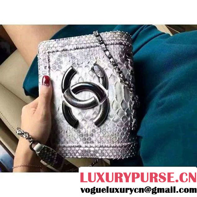 Chanel Small Python, Calfskin & Ruthenium Metal Bronze Flap Bag Gray F/W 2016 (YUN-6090918 )