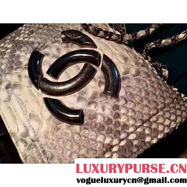 Chanel Small Python, Calfskin & Ruthenium Metal Bronze Flap Bag Gray F/W 2016 (YUN-6090918 )