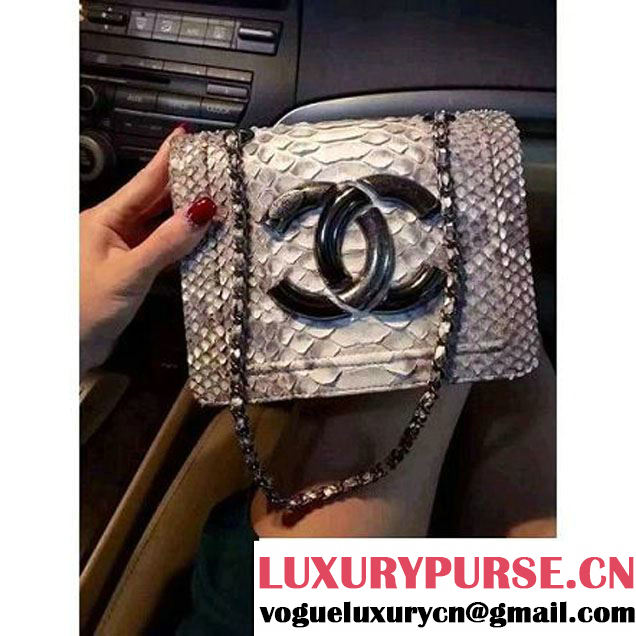 Chanel Small Python, Calfskin & Ruthenium Metal Bronze Flap Bag Gray F/W 2016 (YUN-6090918 )