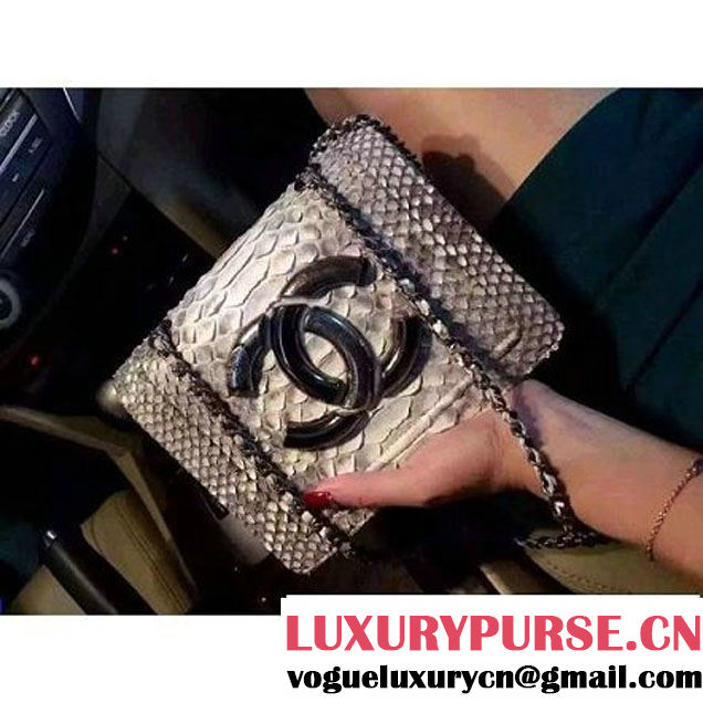 Chanel Small Python, Calfskin & Ruthenium Metal Bronze Flap Bag Gray F/W 2016 (YUN-6090918 )