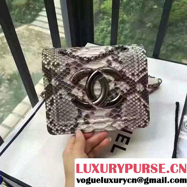 Chanel Small Python, Calfskin & Ruthenium Metal Bronze Flap Bag Gray F/W 2016 (YUN-6090918 )