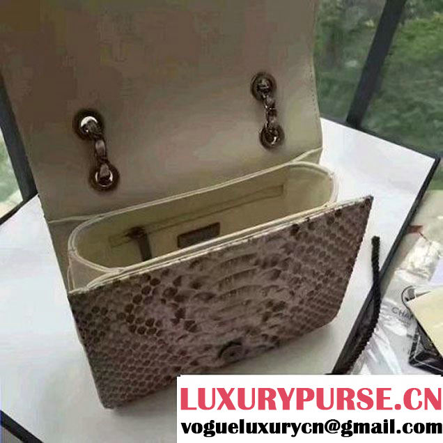 Chanel Small Python, Calfskin & Ruthenium Metal Bronze Flap Bag Gray F/W 2016 (YUN-6090918 )