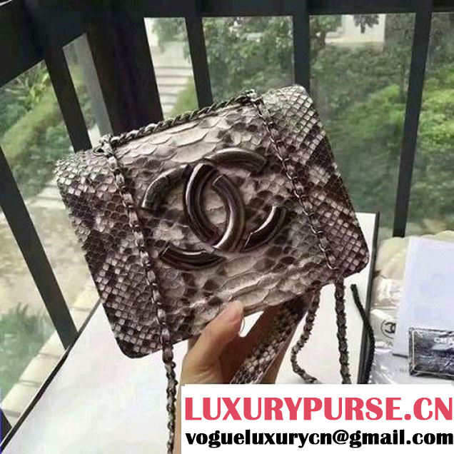 Chanel Small Python, Calfskin & Ruthenium Metal Bronze Flap Bag Gray F/W 2016 (YUN-6090918 )