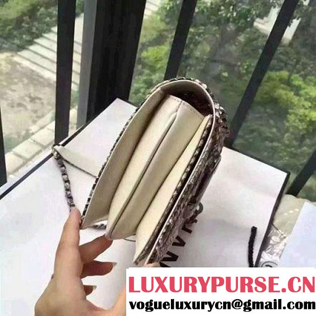 Chanel Small Python, Calfskin & Ruthenium Metal Bronze Flap Bag Gray F/W 2016 (YUN-6090918 )