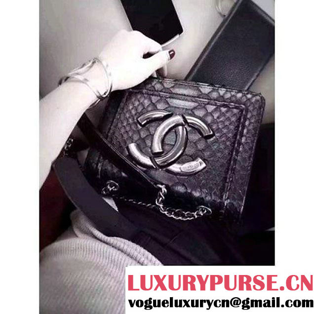 Chanel Small Python, Calfskin & Ruthenium Metal Bronze Flap Bag Black F/W 2016 (YUN-6090919 )