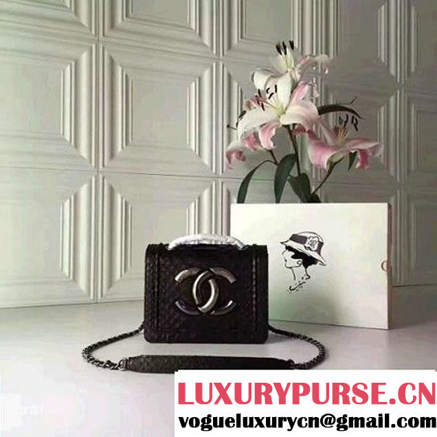 Chanel Small Python, Calfskin & Ruthenium Metal Bronze Flap Bag Black F/W 2016 (YUN-6090919 )