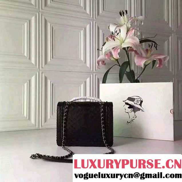 Chanel Small Python, Calfskin & Ruthenium Metal Bronze Flap Bag Black F/W 2016 (YUN-6090919 )